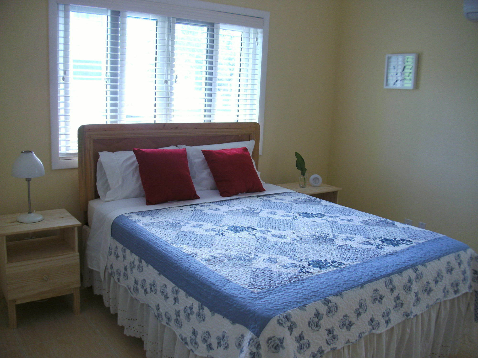 Sir Charles Guest House Palmetto Point Exteriör bild